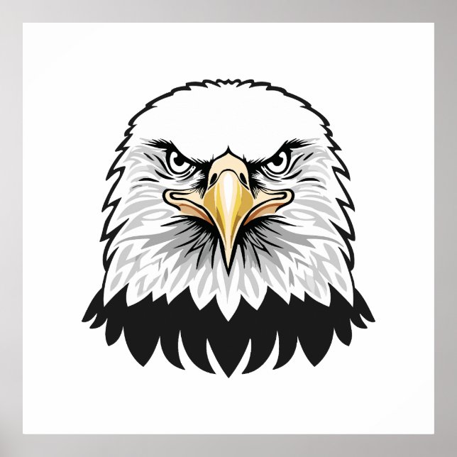 Bald eagle head poster (Front)