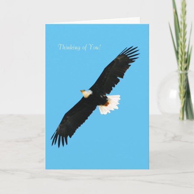 Bald Eagle image for Greeting-card Card (Front)