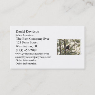 Bald Eagle in a Tree Business Card