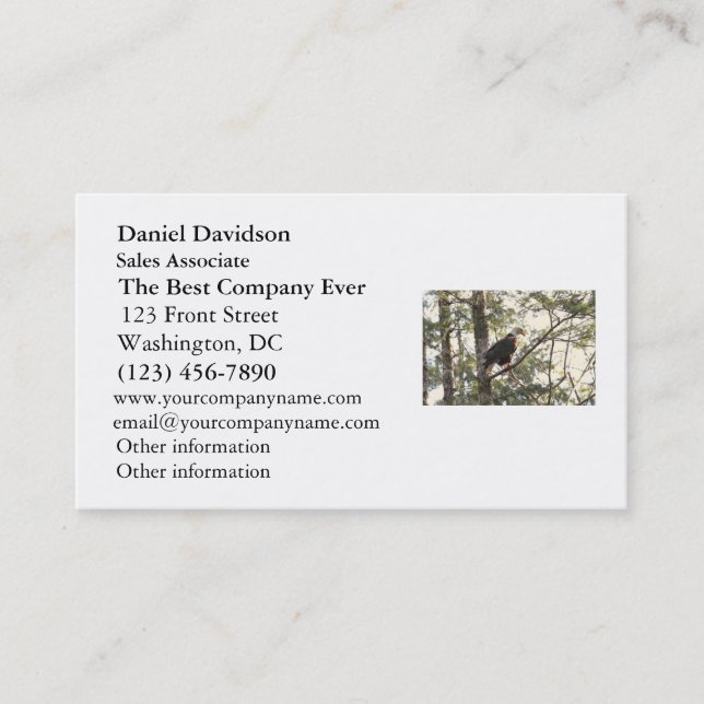 Bald Eagle in a Tree Business Card (Front)