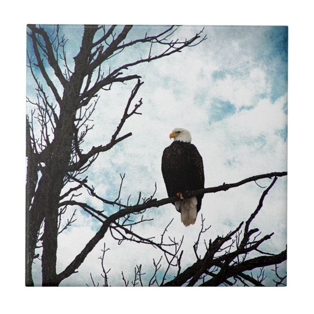 Bald Eagle in a Tree With Blue Sky and Clouds Tile (Front)