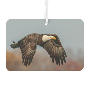Bald Eagle in flight Car Air Freshener