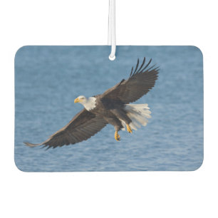 Bald eagle in flight car air freshener