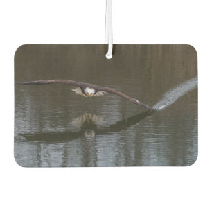 Bald Eagle in Flight Car Air Freshener