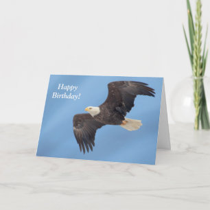 Bald Eagle in flight Card