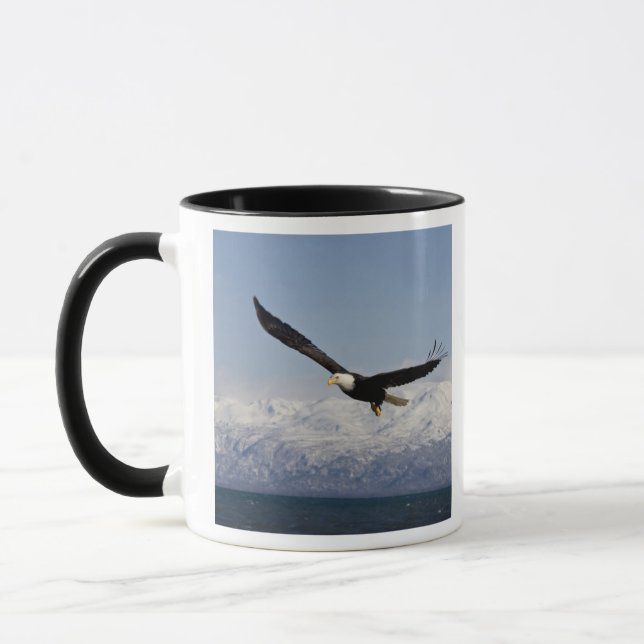 Bald Eagle in Flight, Haliaeetus leucocephalus, 3 Mug (Left)