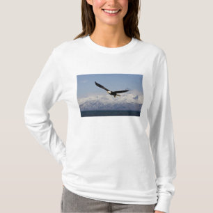 Bald Eagle in Flight, Haliaeetus leucocephalus, 3 T-Shirt