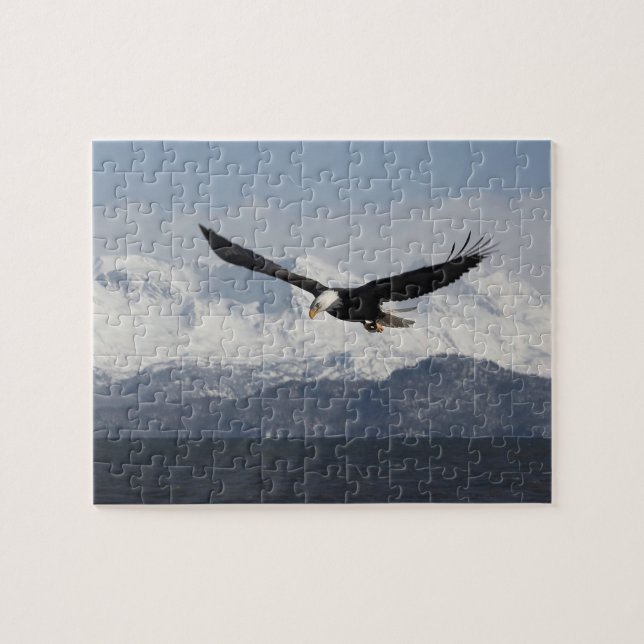 Bald Eagle in Flight, Haliaeetus leucocephalus, Jigsaw Puzzle (Horizontal)