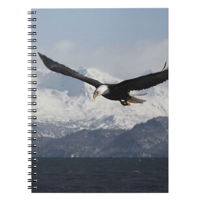 Bald Eagle in Flight, Haliaeetus leucocephalus, Notebook (Front)