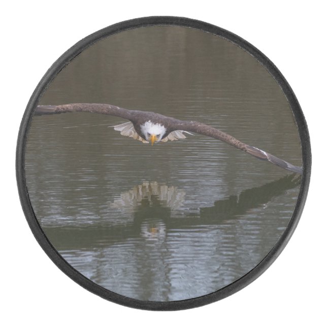 Bald Eagle in Flight Hockey Puck (Front)
