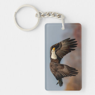 Bald Eagle in flight Key Ring