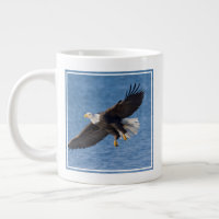 Bald eagle in flight