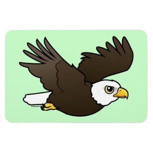 Bald Eagle in flight Magnet