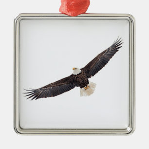 Bald Eagle in flight Metal Tree Decoration