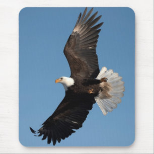 Bald Eagle in Flight Mouse Pad