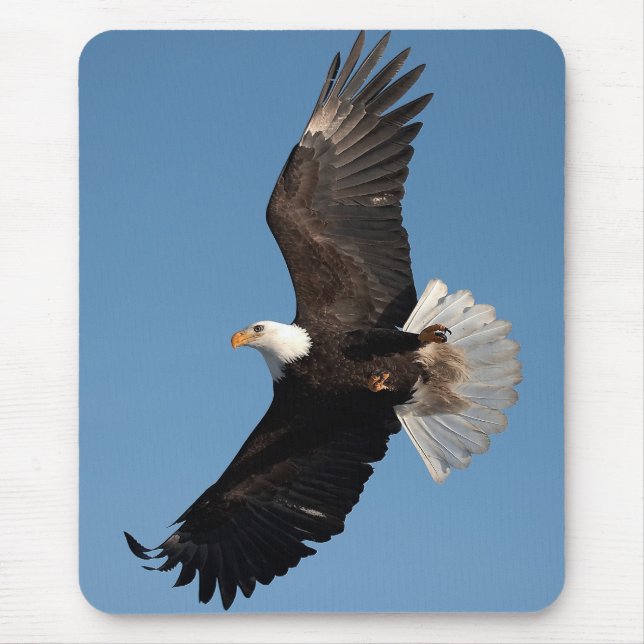 Bald Eagle in Flight Mouse Pad (Front)