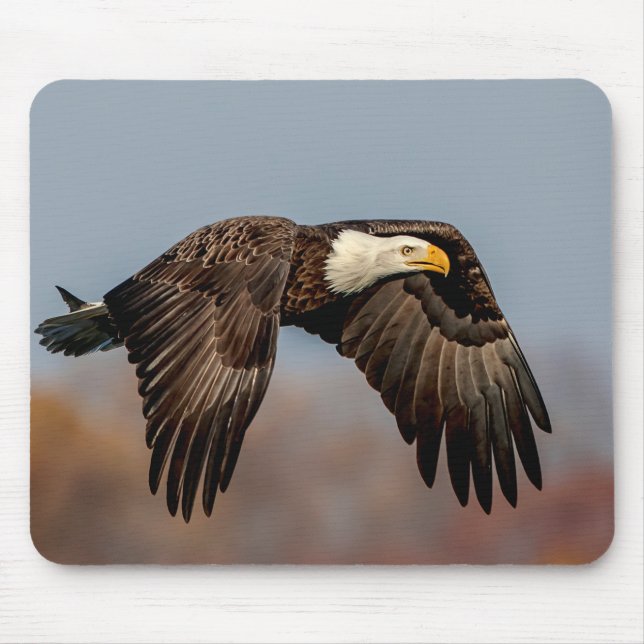 Bald Eagle in flight Mouse Pad (Front)