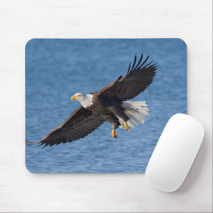 Bald eagle in flight mouse pad