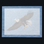 Bald eagle in flight notepad<br><div class="desc">Bald eagle,  Homer,  Southcentral Alaska</div>
