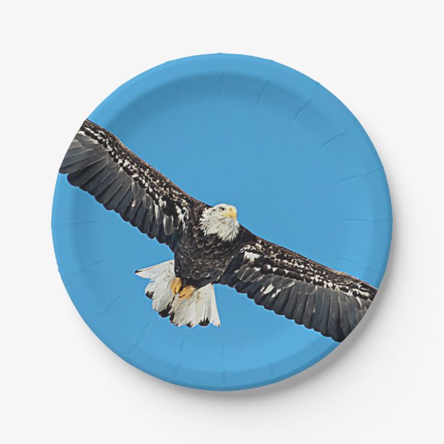 Bald Eagle in flight Paper Plate (Front)