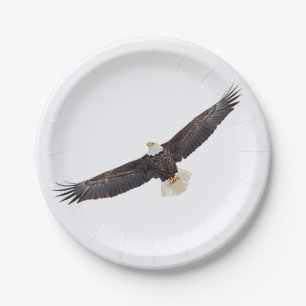 Bald Eagle in flight Paper Plate
