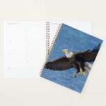 Bald eagle in flight planner<br><div class="desc">Bald eagle,  Homer,  Southcentral Alaska</div>