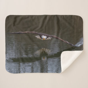 Bald Eagle in Flight Sherpa Blanket