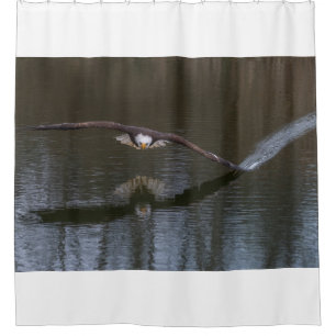 Bald Eagle in Flight Shower Curtain