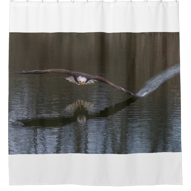 Bald Eagle in Flight Shower Curtain (Front)