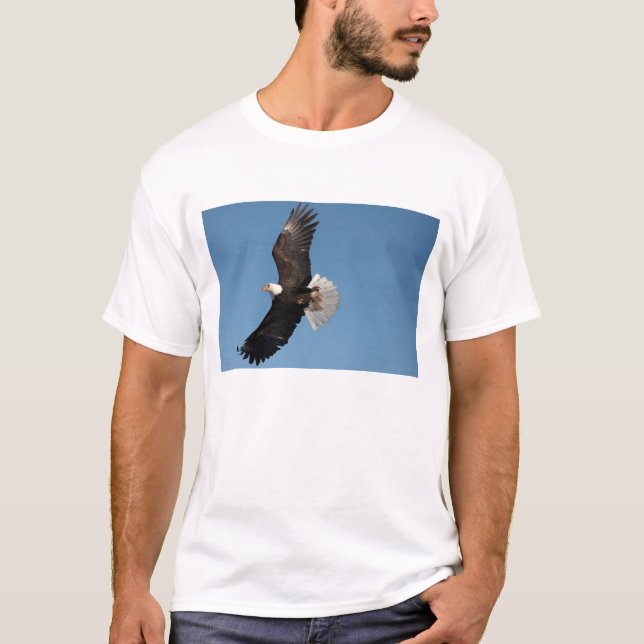 Bald Eagle in Flight T-Shirt (Front)