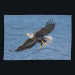 Bald eagle in flight tea towel<br><div class="desc">Bald eagle,  Homer,  Southcentral Alaska</div>