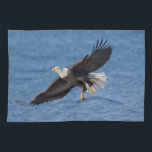 Bald eagle in flight tea towel<br><div class="desc">Bald eagle,  Homer,  Southcentral Alaska</div>