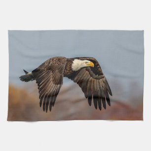 Bald Eagle in flight Tea Towel