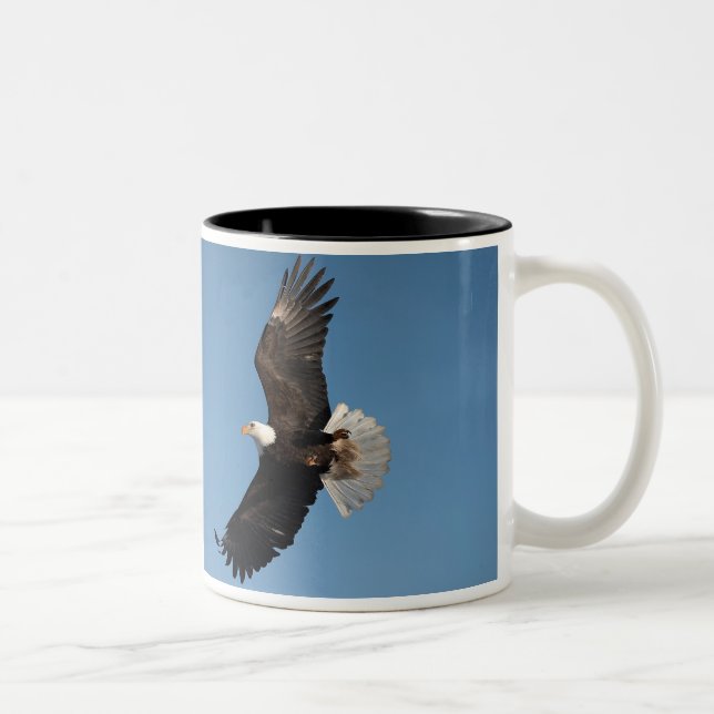 Bald Eagle in Flight Two-Tone Coffee Mug (Right)