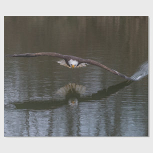Bald Eagle in Flight Wrapping Paper