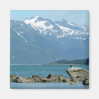 Bald Eagle in Skagway Alaska Magnet