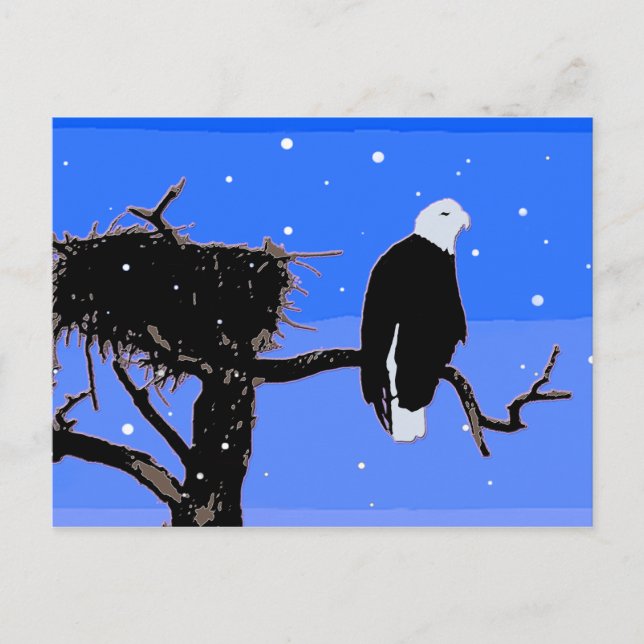 Bald Eagle in Winter  - Original Wildlife Art Postcard (Front)