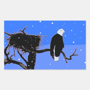 Bald Eagle in Winter  - Original Wildlife Art Rectangular Sticker
