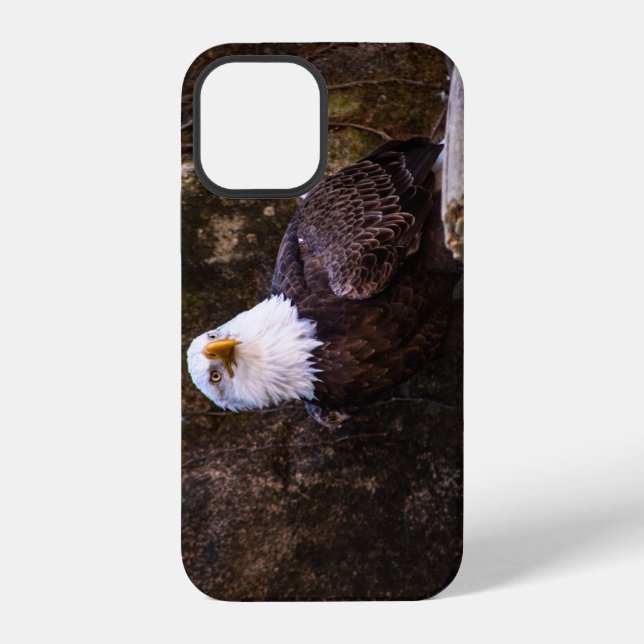 Bald Eagle iPhone Case (Back)