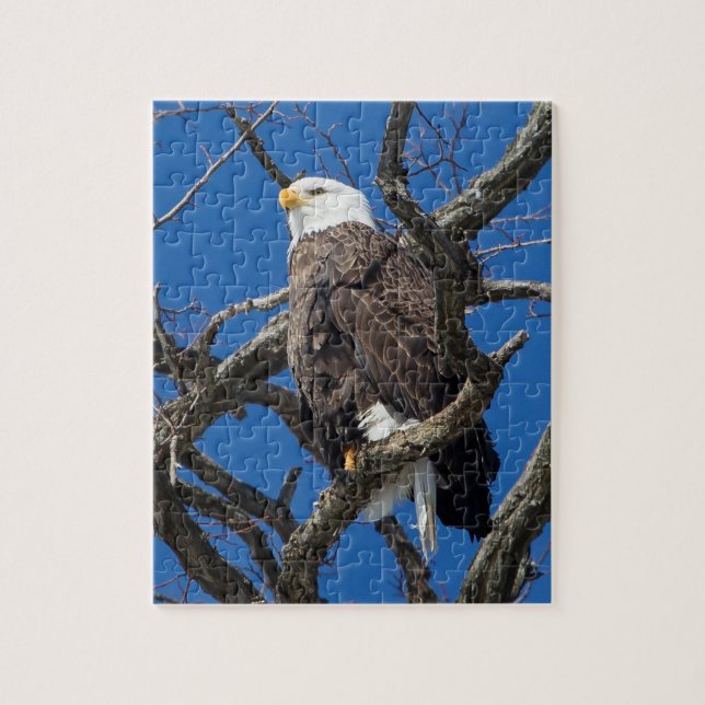Bald Eagle Jigsaw Puzzle (Vertical)