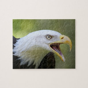 Bald Eagle jigsaw puzzle