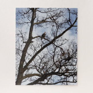 Bald Eagle Jigsaw Puzzle