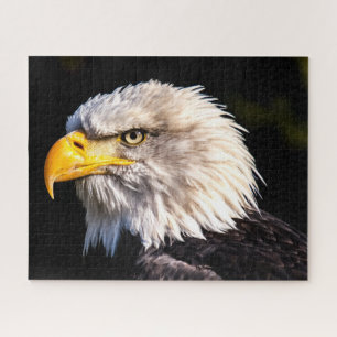 Bald Eagle Jigsaw Puzzle