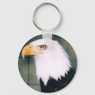 Bald Eagle Key Chain