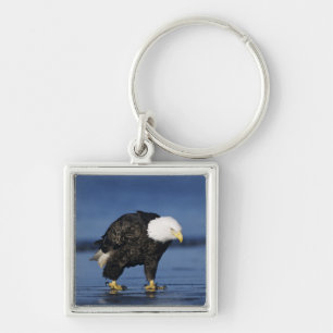 Bald Eagle Key Ring