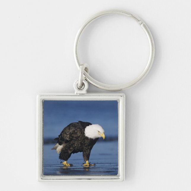 Bald Eagle Key Ring (Front)