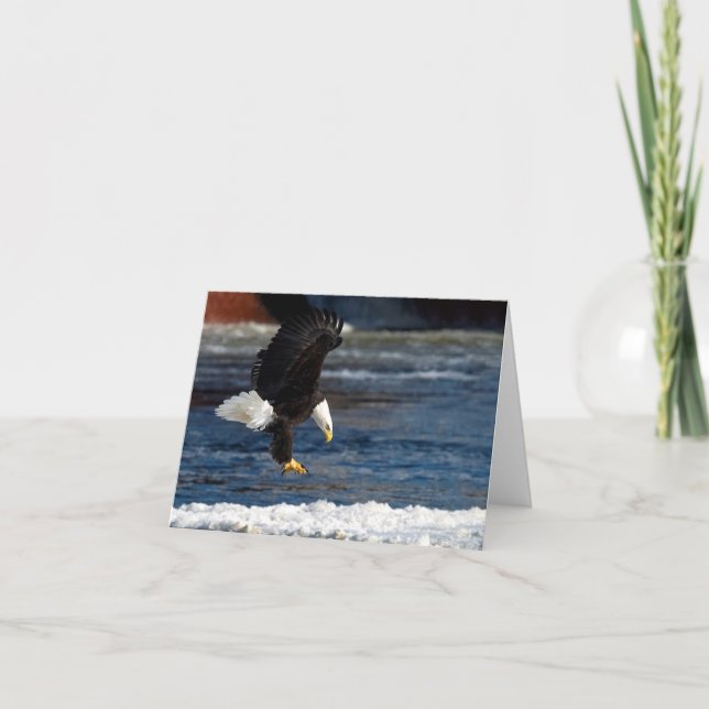 Bald Eagle Landing On Ice Greeting Card (Front)