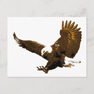 Bald Eagle Landing Post Cards