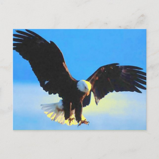 Bald Eagle Landing Postcard (Front)