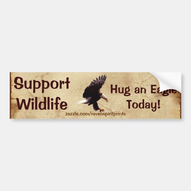 BALD EAGLE Landing Wildlife Support Bumper Sticker (Front)